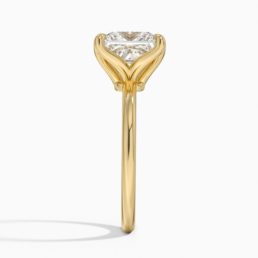 3.00 Karat F-VS Prenses Tektaş Laboratuvar Pırlanta Yüzük 18K - Bold Diamonds